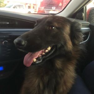 Meet your Posher, Dylan